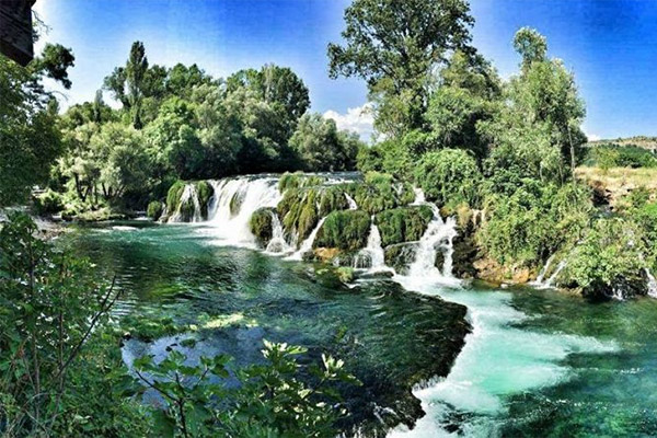 Kocusa
